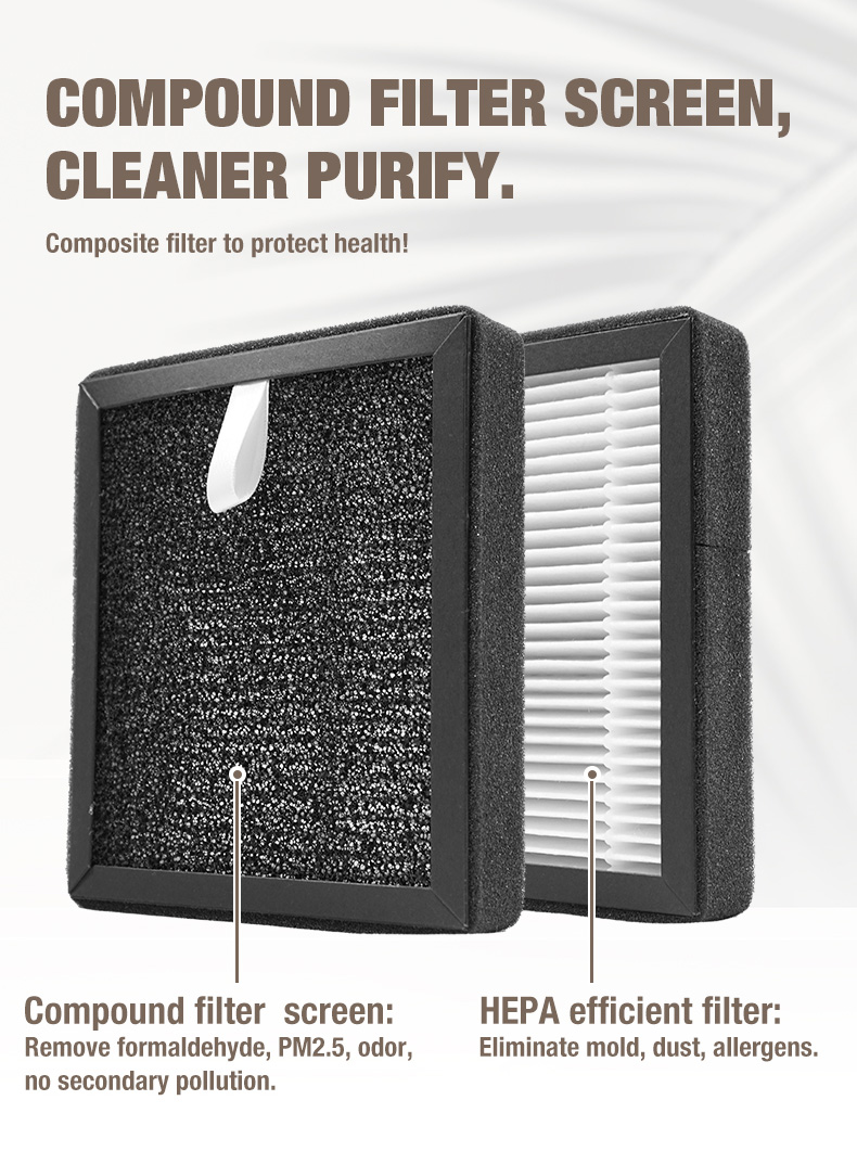 Olanssi A1 Dostawca oczyszczacza powietrza (11)