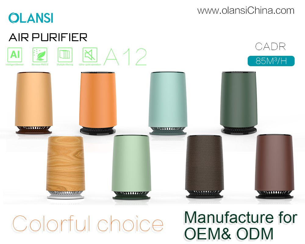 Dostawcy oczyszczaczy powietrza Olansi (15)