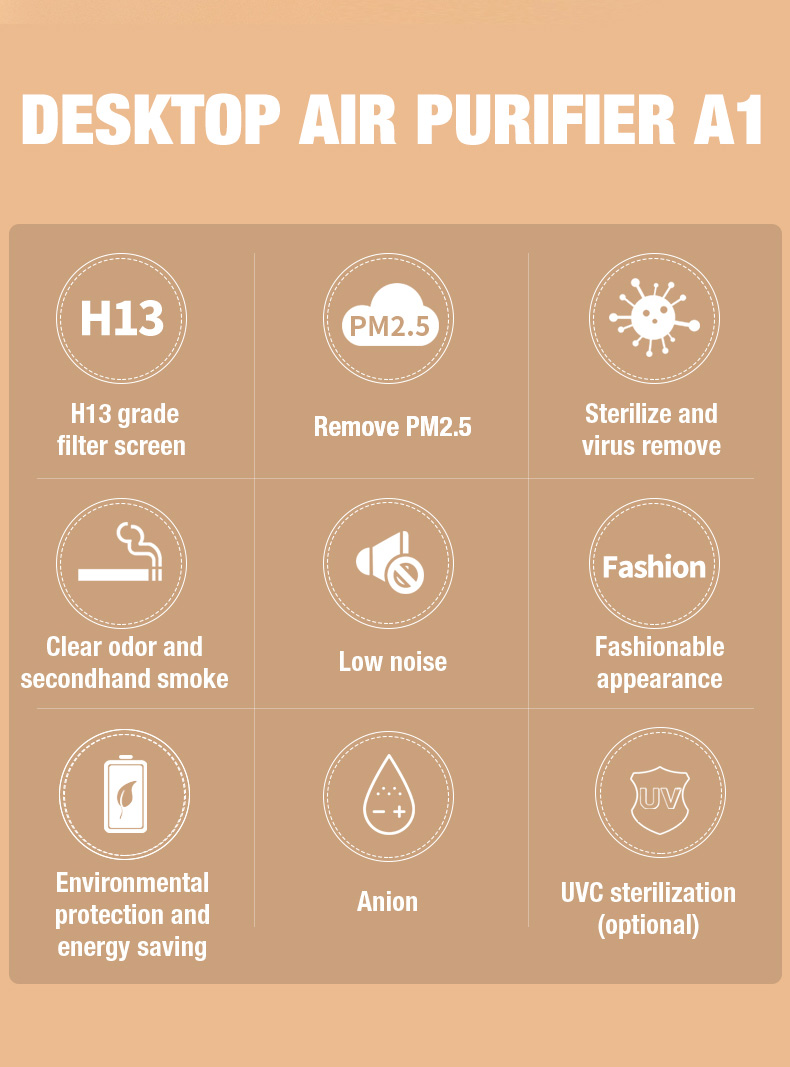 Olanssi A1 Dostawca oczyszczacza powietrza (2)