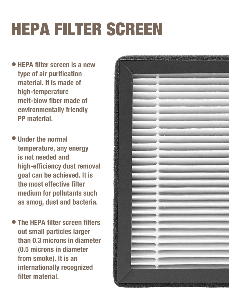 Olanssi A1 Dostawca oczyszczacza powietrza (12)