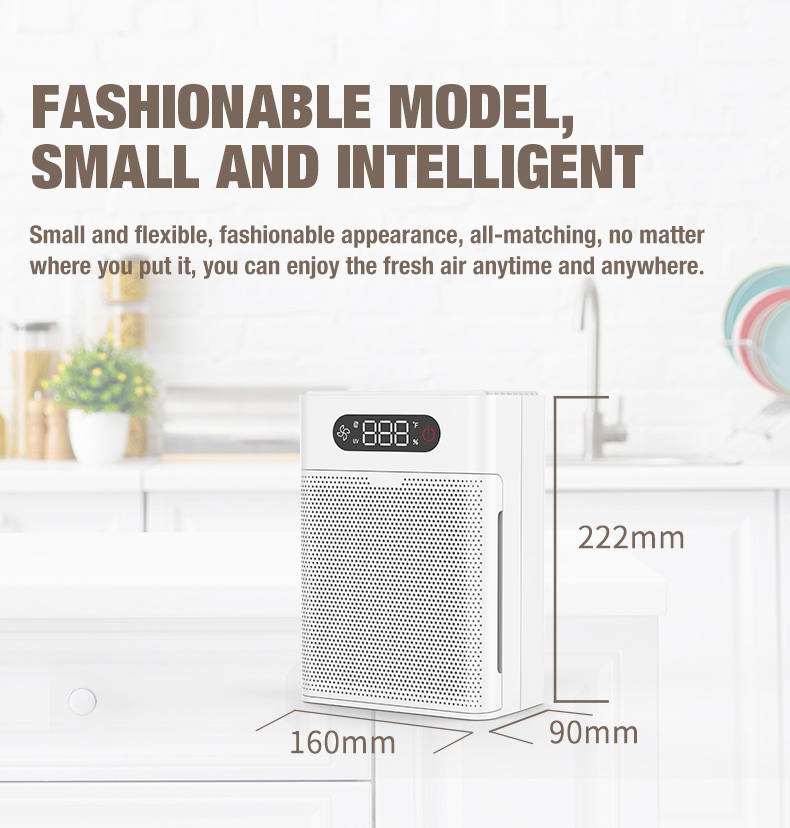 OLANSI A1 Oczyszczacz powietrza Dostawca (3)