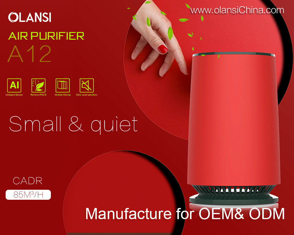 OLAANSI Oczyszczacz powietrza Dostawcy (13)