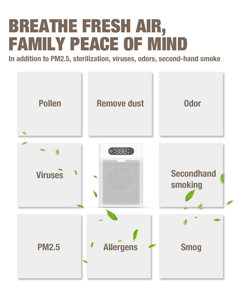 Olanssi A1 Dostawca oczyszczacza powietrza (6)