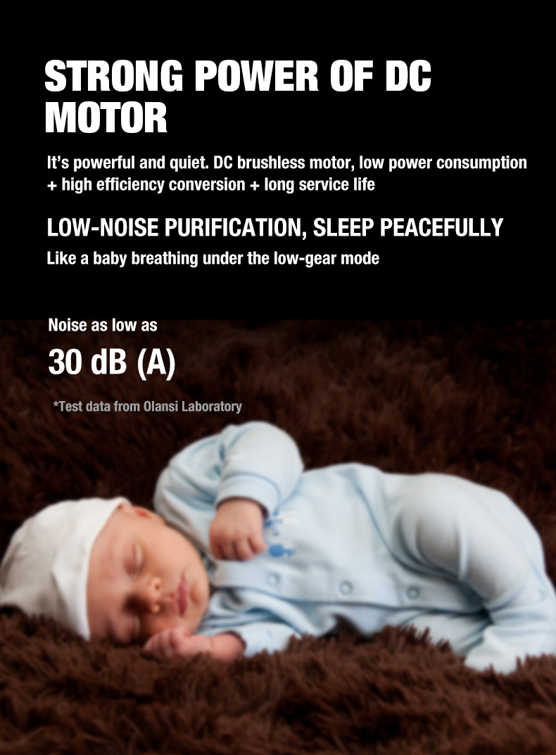 Olanssi A1 Dostawca oczyszczacza powietrza (9)