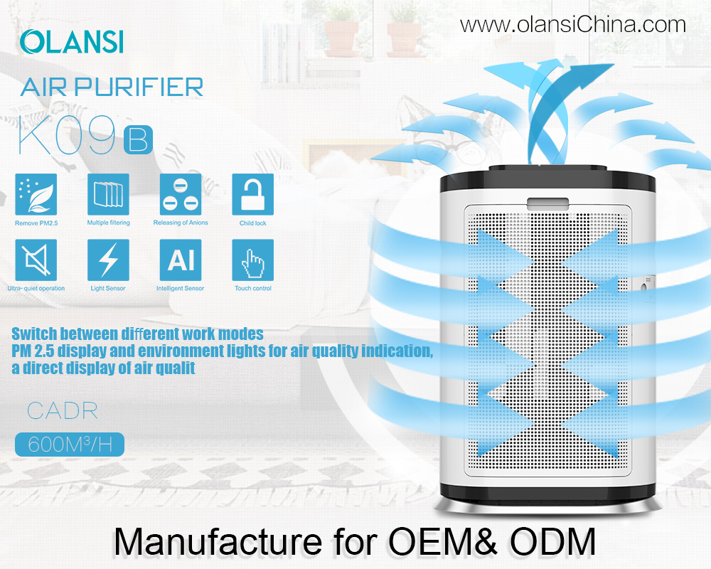 Olanssi Air Oczyszczacz Dostawca (16)
