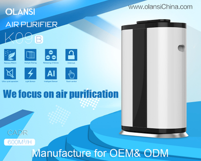 Olansi Air Purifier Supplier (15).jpg